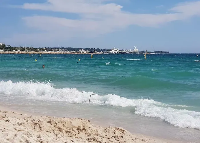 La Goelette - Palais Des Festivals Cannes