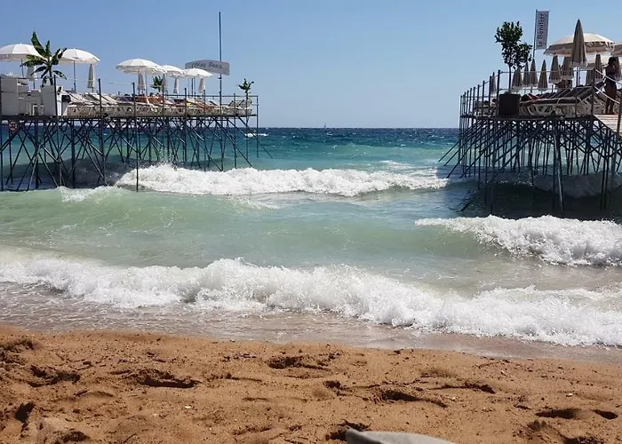 La Goelette - Palais Des Festivals * Cannes