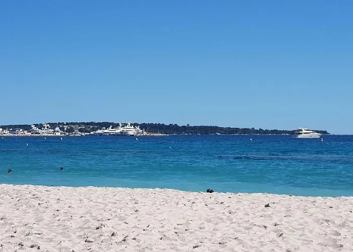 La Goelette - Palais Des Festivals * Cannes