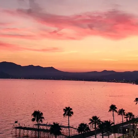 La Goelette - Palais Des Festivals