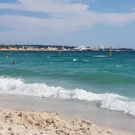 La Goelette - Palais Des Festivals Cannes