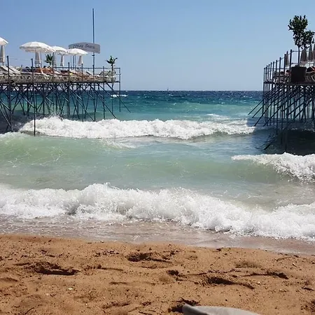 La Goelette - Palais Des Festivals * Cannes