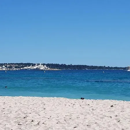 La Goelette - Palais Des Festivals * Cannes