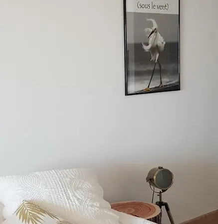 La Goelette - Palais Des Festivals Appartement *