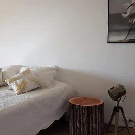 La Goelette - Palais Des Festivals